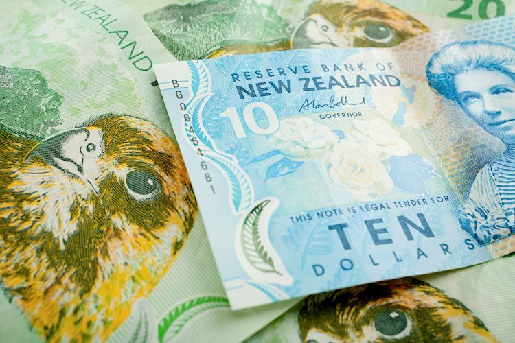 new-zealand-currency-background-35848870_Large.jpg