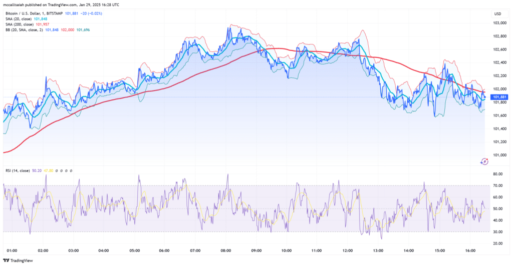 BTCUSD_2025-01-29_11-31-12-1024x532.png