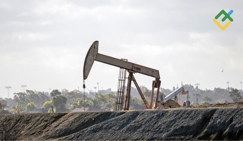 oil_399.jpg