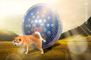 Dogecoin_DOGE_Cardano_Field_Landscape_Blockchain_Crypto_web-530x353.jpg