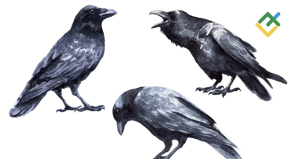 black-crows.jpg