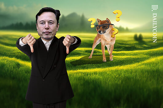 doge-coin_elon-musk_pyramid_web-530x353.jpg