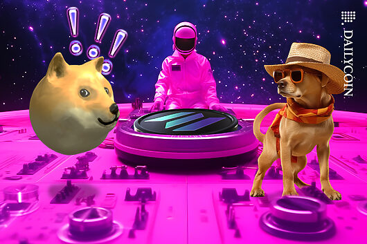 sol_dogwifhat_solana_wif_dogs_memecoin_web-530x353.jpg