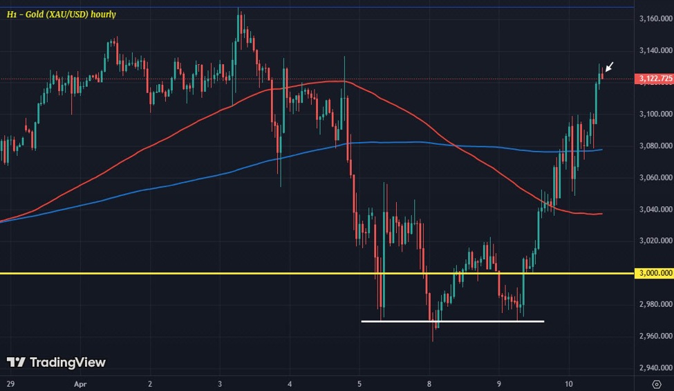 XAUUSD20H12010-04_id_7341cb3e-0d8c-4b0e-be7c-465f6efa452f_size975.jpg