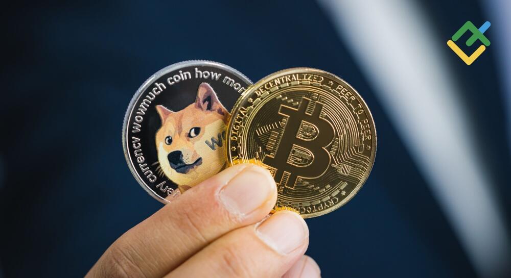 bit-doge-main.jpg