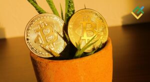 btc-eth-xrp-28-04-2025-wave-analysis.jpg