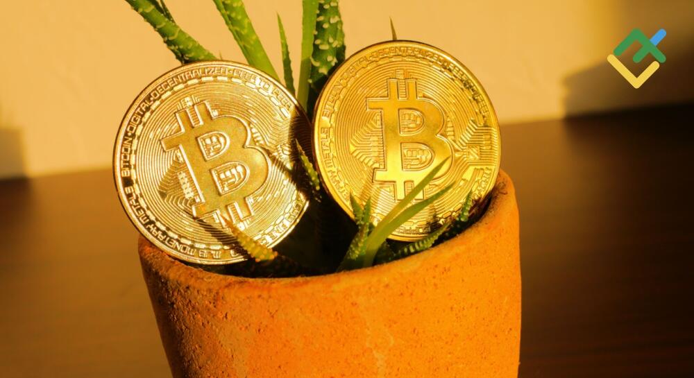 btc-eth-xrp-28-04-2025-wave-analysis.jpg