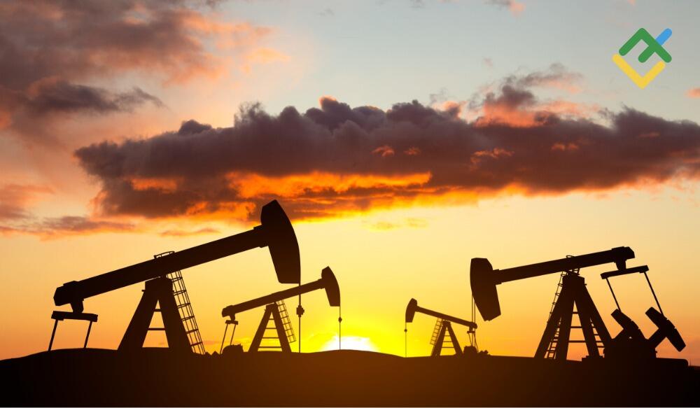 oil_409.jpg