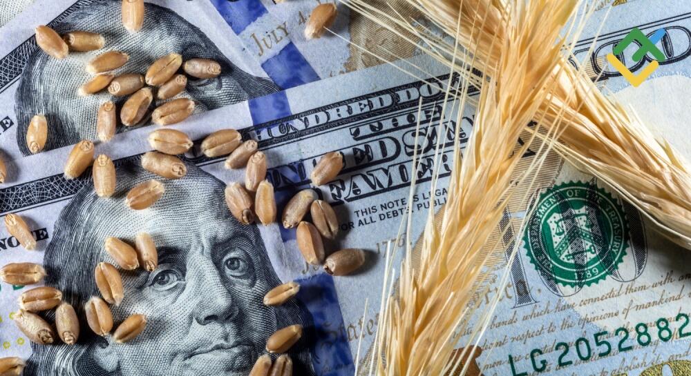 wheat-prediction-main.jpg