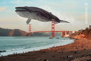 Crypto_Whale_San-Francisco_Golden_Gate_Bridge_web-530x353.jpg