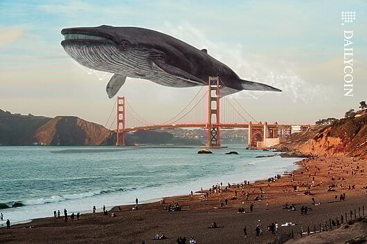 Crypto_Whale_San-Francisco_Golden_Gate_Bridge_web-530x353.jpg