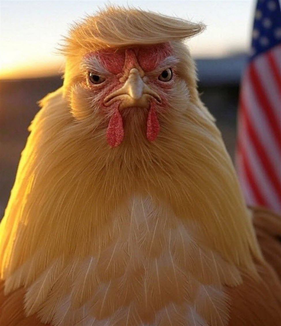 Trump20chicken_id_27ea941c-4001-440d-860d-b776ee2b60a1_size975.jpg