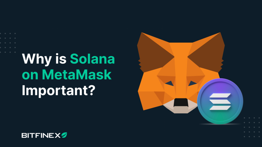 Why-is-Solana-on-MetaMask-Important.png
