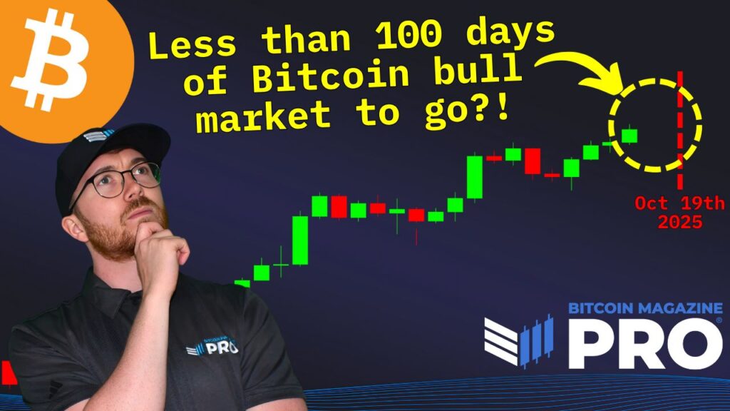 Does-Bitcoin-Have-Less-Than-100-Days-Left-In-This-Cycle.jpg