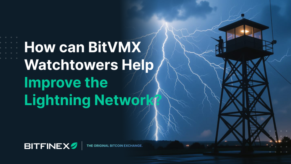 How-can-BitVMX-Watchtowers-Help-Improve-the-Lightning-Network.png