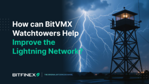 How-can-BitVMX-Watchtowers-Help-Improve-the-Lightning-Network.png