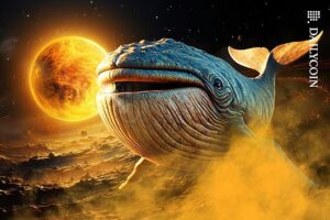 Whale_Gold_Tooth_Sun_Rich_Unbranded_web-530x353.jpg