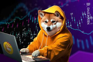 bonk_memecoin_chart_numbers_memcoin_web-530x353.jpg