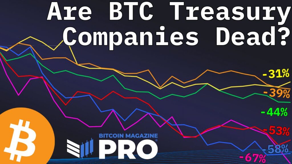 Are-Bitcoin-Treasury-Companies-Still-a-Smart-Investment-in-2025.jpg