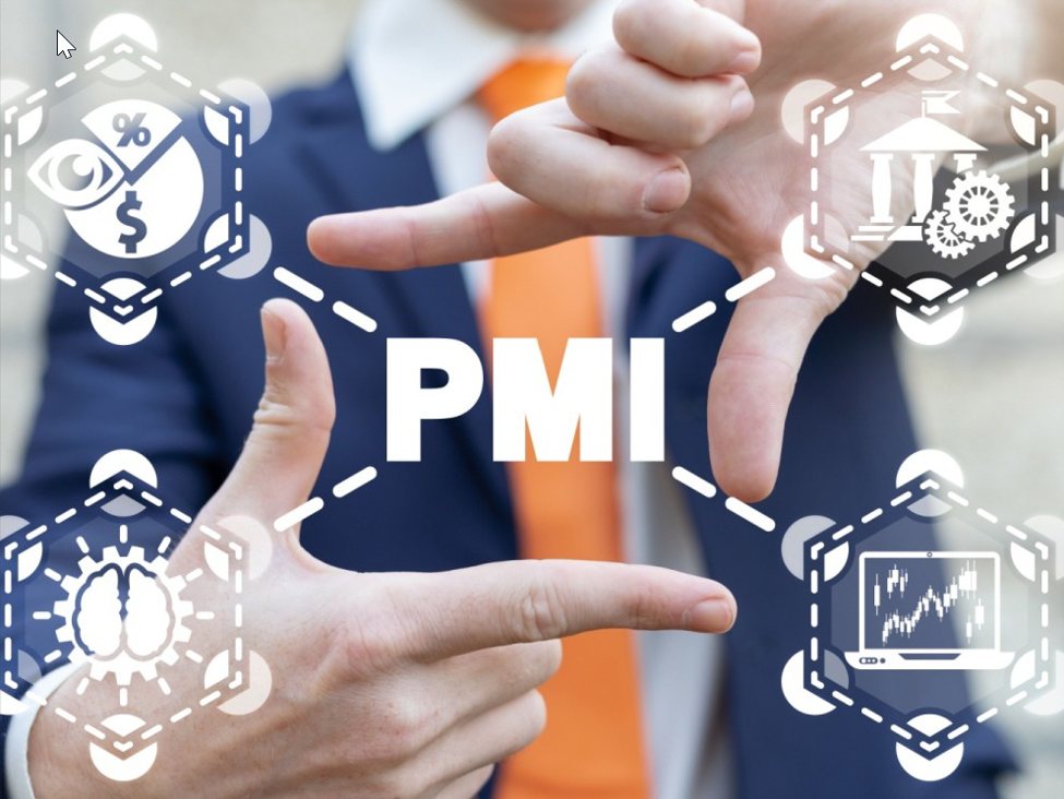 PMI_id_333c747a-9c47-4508-9f61-035aac574cce_size975.jpeg