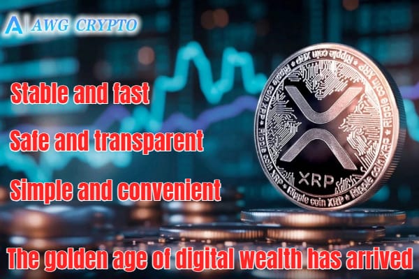 XRP-04-1.jpg
