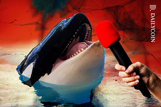 defi_red_bloody_whale_news_web-530x353.jpg