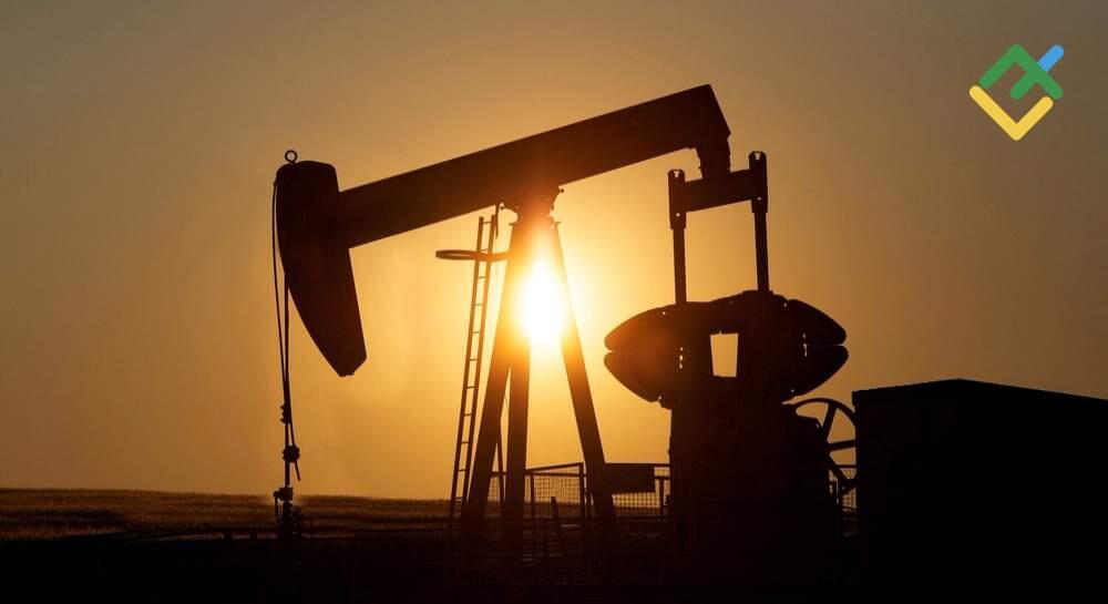 oil_430.jpeg
