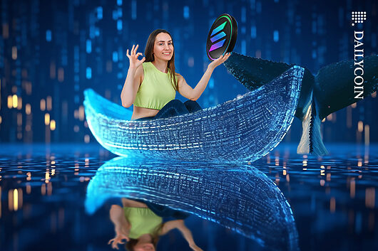 whale_solana_sol_coin_holding_web-530x353.jpg