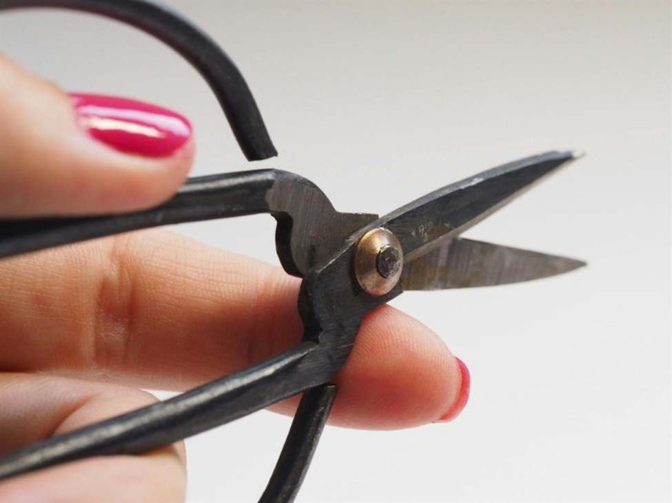 scissors20cut20snip202720August202025_id_0882f05c-cefd-4341-b809-5c8bd7b1389b_size975.jpg