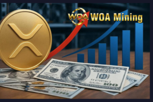 woa-1.png